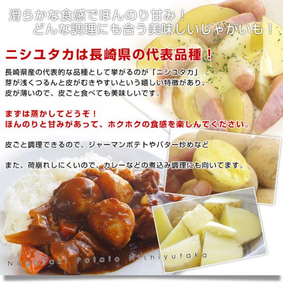 送料無料　長崎県産　JA全農ながさき　じゃがいも（ニシユタカ）　Lサイズ　10キロ　市場発送　馬鈴薯　ばれいしょ05