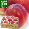 山梨県より産地直送 JAフルーツ山梨 塩山支所 スイートネクタリン (品種:白肉系「昌光または、昌玉」) 約1.5キロ (7玉から9玉) 送料無料 桃 もも
