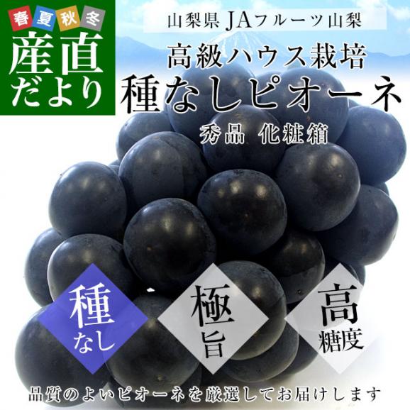 山梨県より産地直送 JAフルーツ山梨 種なしピオーネ 秀品 大房１房入り 化粧箱 (約550g ×１房) 送料無料 葡萄 ぶどうギフト 夏ギフト お中元 御中元02