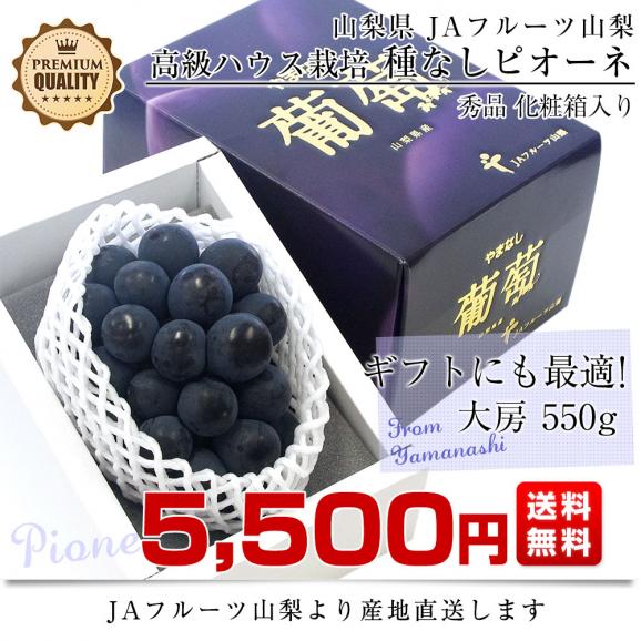 山梨県より産地直送 JAフルーツ山梨 種なしピオーネ 秀品 大房１房入り 化粧箱 (約550g ×１房) 送料無料 葡萄 ぶどうギフト 夏ギフト お中元 御中元03