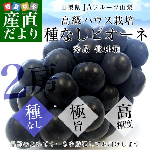 山梨県より産地直送 JAフルーツ山梨 種なしピオーネ 秀品 大房2房入り 化粧箱 (約550g ×2房) 送料無料 葡萄 ぶどうギフト 夏ギフト お中元 御中元02