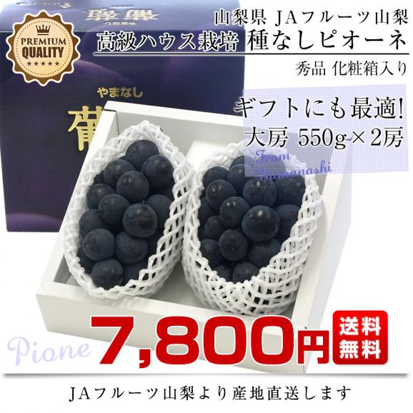 山梨県より産地直送 JAフルーツ山梨 種なしピオーネ 秀品 大房2房入り 化粧箱 (約550g ×2房) 送料無料 葡萄 ぶどうギフト 夏ギフト お中元 御中元03