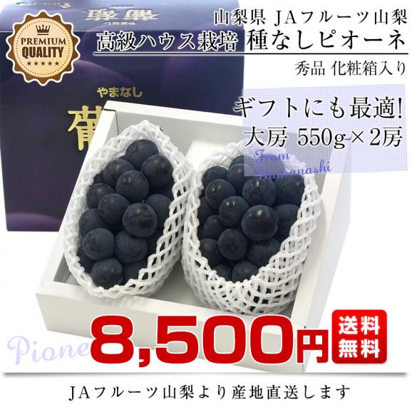 【お中元・夏ギフト】山梨県より産地直送 JAフルーツ山梨 種なしピオーネ 秀品 大房2房入り 化粧箱 (約550g ×2房) 送料無料 葡萄 ぶどうギフト お中元03