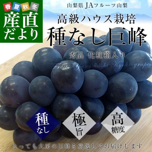 山梨県より産地直送 JAフルーツ山梨 種なし巨峰 秀品 大房1房入り化粧箱 (約550g×1房) 送料無料 葡萄 ぶどう ギフト 夏ギフト お中元 御中元02
