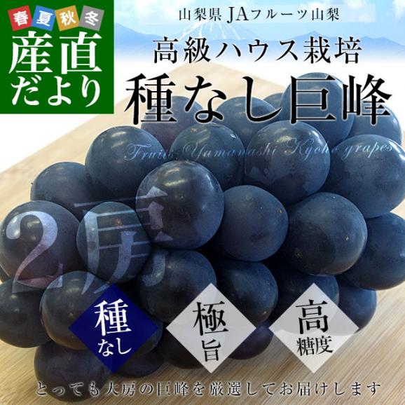 山梨県より産地直送 JAフルーツ山梨 種なし巨峰 秀品 大房2房入り化粧箱 (約550g×2房) 送料無料 葡萄 ぶどう ギフト 夏ギフト お中元 御中元02