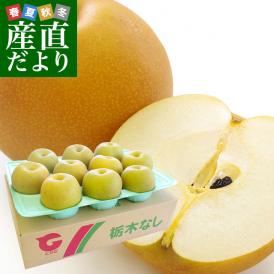 栃木県より産地直送 JAはが野の梨 優品以上 約5キロ (8玉から16玉) なし ナシ 送料無料