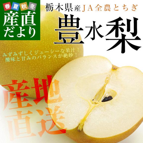 栃木県より産地直送 JA全農とちぎ 豊水梨 優品以上 約5キロ (8玉から16玉) なし ナシ　送料無料02