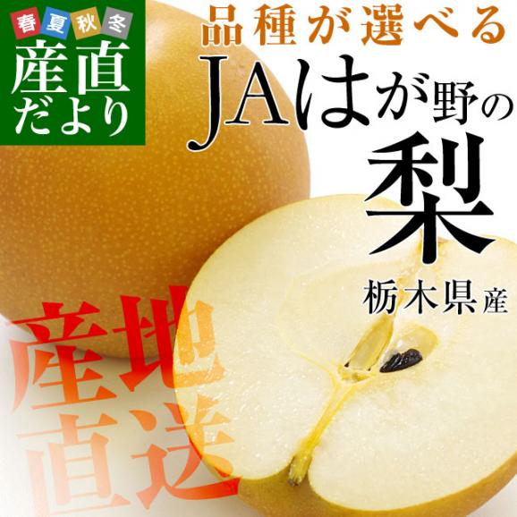 栃木県より産地直送 JAはが野の梨 優品以上 約5キロ (8玉から16玉) なし ナシ 送料無料02