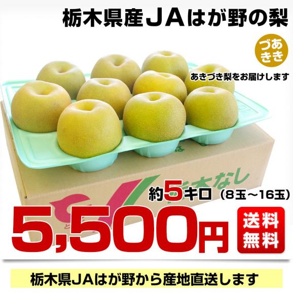 栃木県より産地直送 JAはが野の梨 優品以上 約5キロ (8玉から16玉) なし ナシ　送料無料03