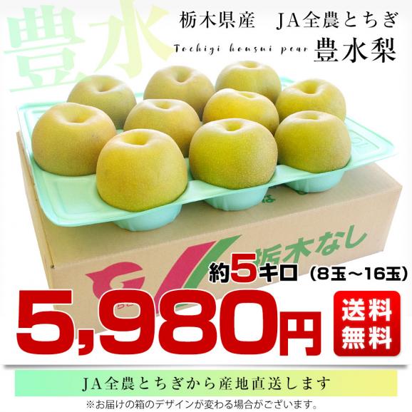 栃木県より産地直送 JA全農とちぎ 豊水梨 優品以上 約5キロ (8玉から16玉) なし ナシ　送料無料03