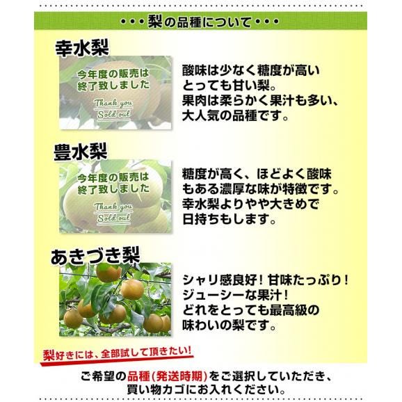 栃木県より産地直送 JAはが野の梨 優品以上 約5キロ (8玉から16玉) なし ナシ 送料無料06
