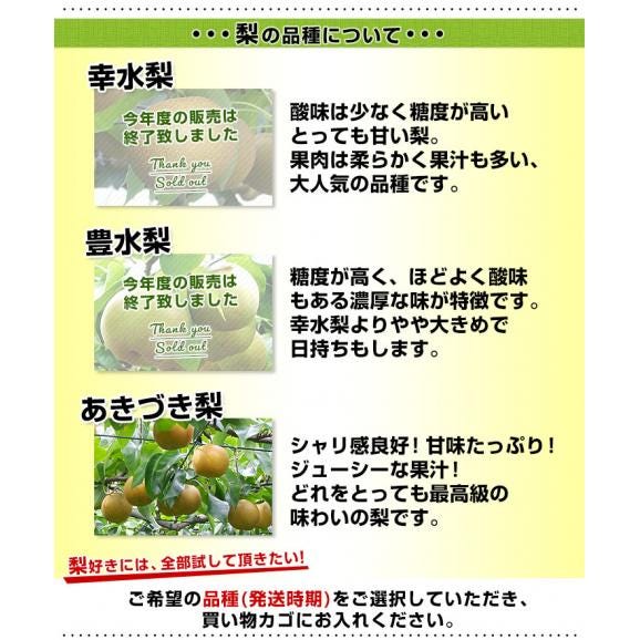 栃木県より産地直送 JAはが野の梨 優品以上 約5キロ (8玉から16玉) なし ナシ　送料無料06
