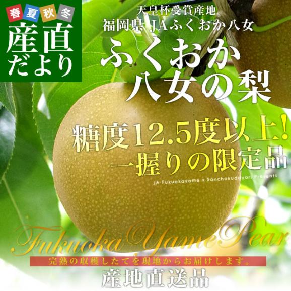 送料無料 福岡県より産地直送 JAふくおか八女 特秀品 ふくおか八女の梨 幸水梨 約5キロ (12玉から14玉) 梨 なし 緊急スポット02