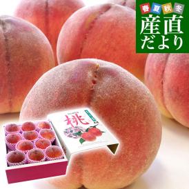 新潟県より産地直送 JAえちご中越 にいがたの特秀桃「糖鮮確実 (とうせんかくじつ)」 3キロ (9玉から12玉) 送料無料 クール便 もも モモ