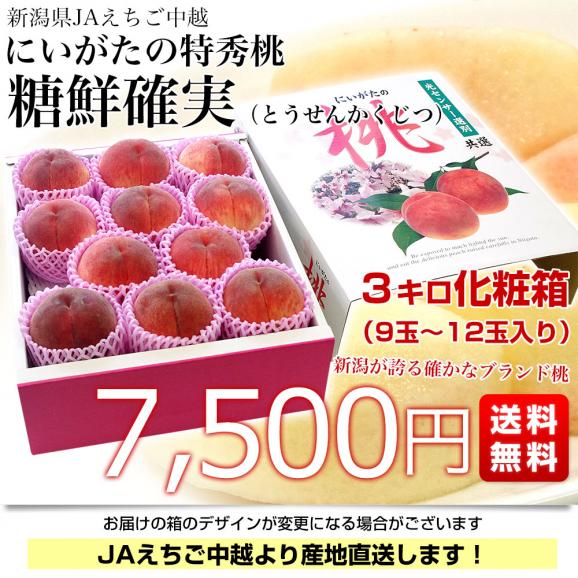 新潟県より産地直送 JAえちご中越 にいがたの特秀桃「糖鮮確実 (とうせんかくじつ)」 3キロ (9玉から12玉) 送料無料 もも モモ03