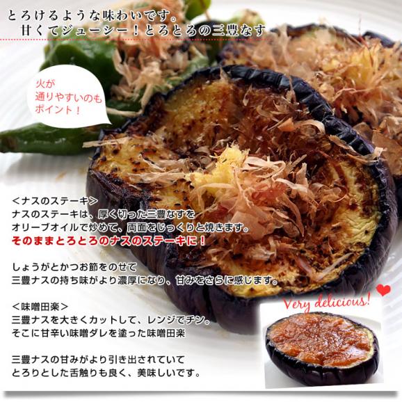 香川県から産地直送 JA香川県 巨大なナス「三豊なす」 約2キロ（4から6玉） 送料無料 茄子 なす ナス06
