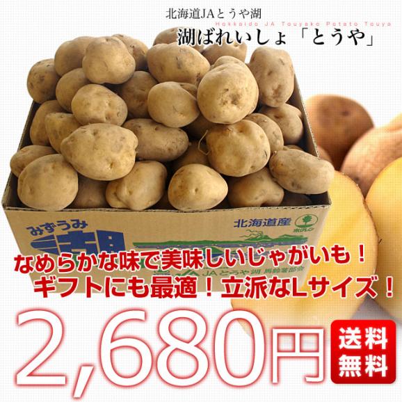 北海道から産地直送 JAとうや湖 じゃがいも 湖ばれいしょ「とうや」 Lサイズ 10キロ 馬鈴薯 ジャガイモ 送料無料03