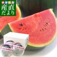 送料無料 岐阜県より産地直送 JAひだ 黒皮小玉スイカ 夏の想ひで (ひとりじめBONBON) 8キロ(3玉から4玉) すいか 西瓜