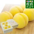 岡山県から産地直送 JA晴れの国岡山 総社もも生産部会 総社(そうじゃ)の桃 黄ららのきわみ 青秀以上 1.5キロ前後(4玉から6玉) 送料無料 もも モモ