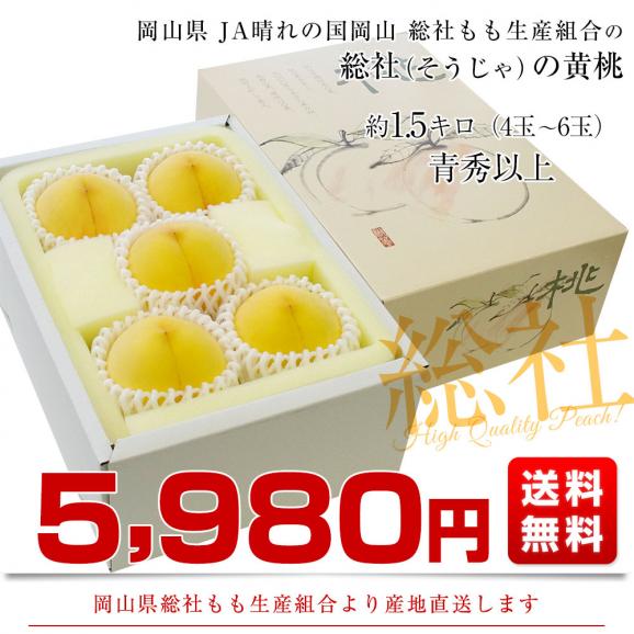 岡山県から産地直送 JA晴れの国岡山 総社もも生産部会 総社(そうじゃ)の桃 黄ららのきわみ 青秀以上 1.5キロ前後(4玉から6玉) 送料無料 もも モモ03