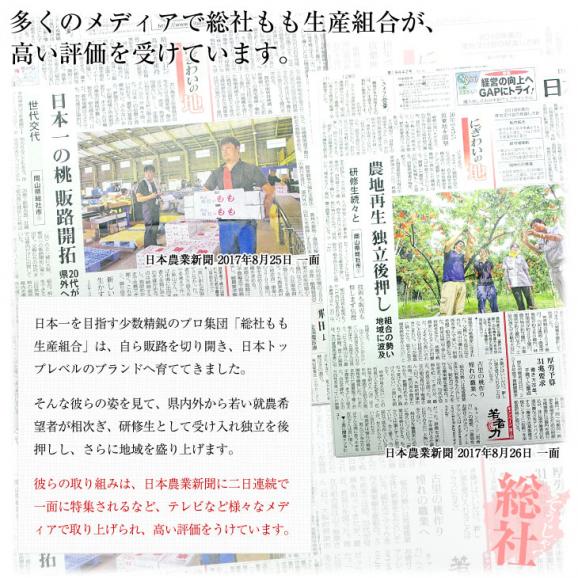 岡山県から産地直送 JA晴れの国岡山 総社もも生産組合 総社(そうじゃ)の桃 黄ららのきわみ 青秀以上 約1.5キロ(4玉から6玉) 送料無料 桃 もも モモ ピーチ06