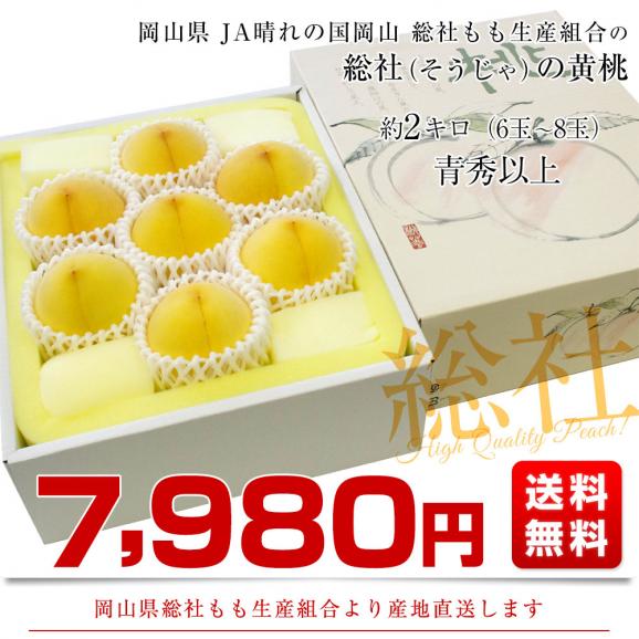 岡山県から産地直送 JA晴れの国岡山 総社もも生産部会 総社(そうじゃ)の桃 黄ららのきわみ 青秀以上 2キロ前後 (6玉から8玉)送料無料 もも モモ03