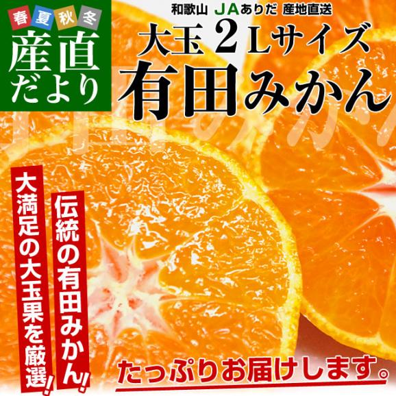 和歌山県より産地直送 JAありだ 有田みかん 大玉 2Lサイズ 4.5キロ(30玉前後) 送料無料 蜜柑 ミカン お歳暮 御歳暮02