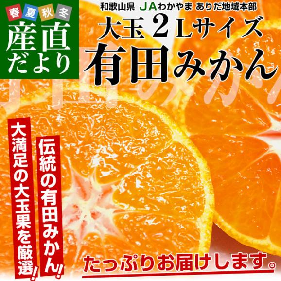 和歌山県より産地直送 JAわかやま ありだ地域本部 有田みかん 大玉 2Lサイズ 4.5キロ(30玉前後) 送料無料 蜜柑 ミカン お歳暮 御歳暮02