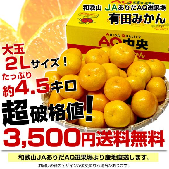 和歌山県より産地直送 JAありだ 有田みかん 大玉 2Lサイズ 4.5キロ(30玉前後) 送料無料 蜜柑 ミカン お歳暮 御歳暮03