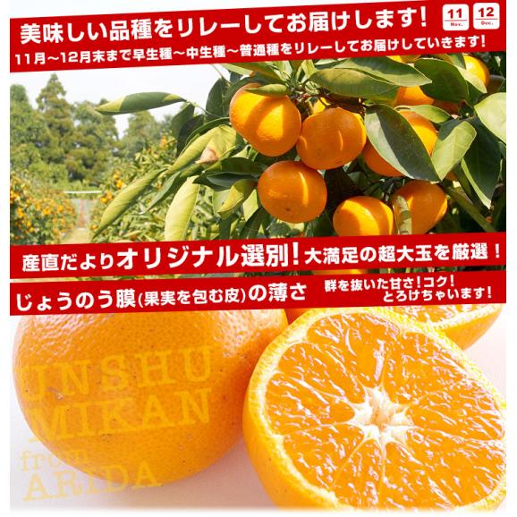和歌山県より産地直送 JAありだ 有田みかん 大玉 2Lサイズ 4.5キロ(30玉前後) 送料無料 蜜柑 ミカン お歳暮 御歳暮04
