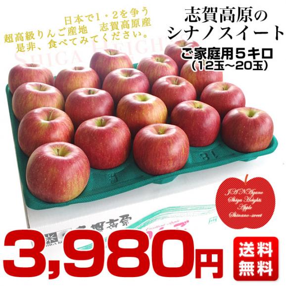 長野県より産地直送　JAながの　志賀高原のシナノスイート ご家庭用　約5キロ　(12玉から20玉)　送料無料 林檎　りんご　リンゴ03