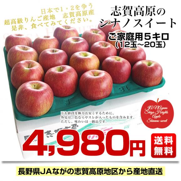 長野県より産地直送 JAながの 志賀高原のシナノスイート ご家庭用 約5キロ（12玉から20玉） 送料無料 林檎 りんご リンゴ03