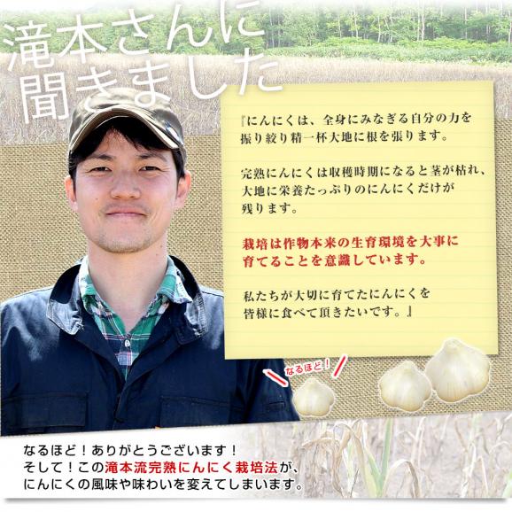 北海道から産地直送 赤井川村 滝本さんの有機JAS完熟にんにく どっさり2kg分（1キロ×2袋）送料無料 にんにく ニンニク 大蒜04