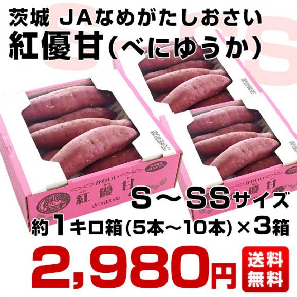 茨城県より産地直送 JAなめがたしおさい さつまいも「紅優甘 (べにゆうか)」 SからSSサイズ 1キロ×3箱セット 送料無料 さつま芋 サツマイモ 薩摩芋03