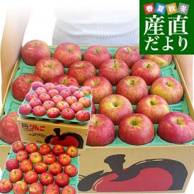 長野県より産地直送 JAながの 飯綱地区 シナノスイート 秀品 10キロ (36玉から46玉) 送料無料 林檎 りんご リンゴ