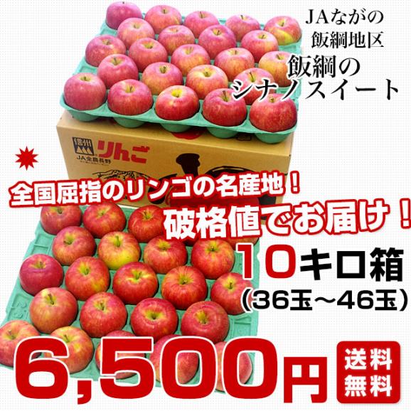 長野県より産地直送 JAながの 飯綱地区 シナノスイート 秀品 10キロ (36玉から46玉) 送料無料 林檎 りんご リンゴ03