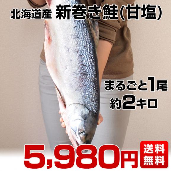 北海道から産地直送　北海道産　新巻き鮭（甘塩）　まるごと1尾　2キロ 送料無料　さけ　サケ　ギフト03
