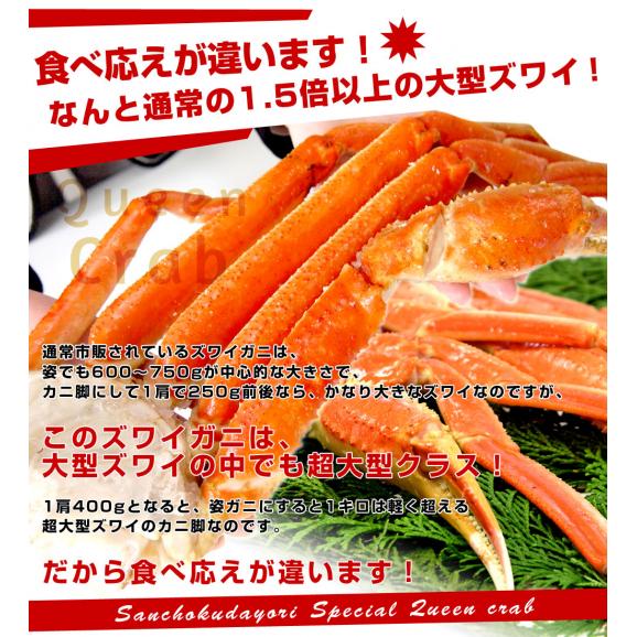 送料無料 北海道から直送　大型ズワイガニ　極太カニ脚　2肩分　総重量800g　　かに　カニ脚　蟹足04