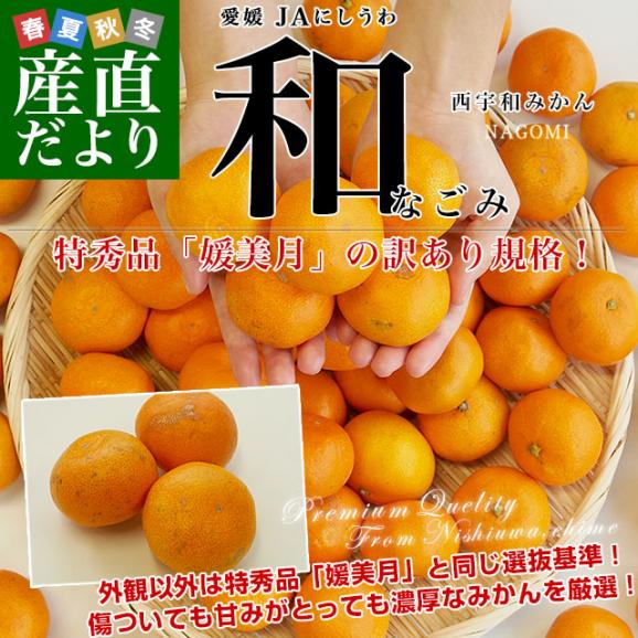 愛媛県より産地直送 JAにしうわ みなの共選 西宇和みかん 和 (なごみ) SからSSサイズ 5キロ(60玉から80玉前後) 送料無料 蜜柑 ミカン02