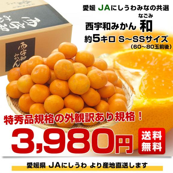 愛媛県より産地直送 JAにしうわ みなの共選 西宇和みかん 和 (なごみ) SからSSサイズ 5キロ(60玉から80玉前後) 送料無料 蜜柑 ミカン03