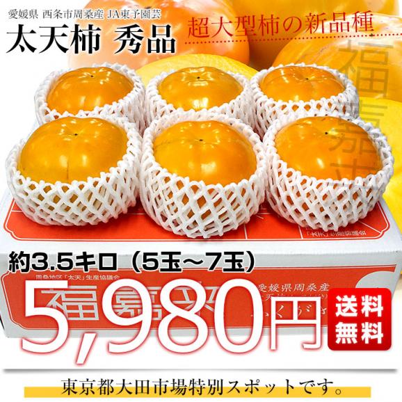 愛媛県周桑産 JA東予園芸 太天柿 秀品 3.5キロ(5玉から7玉) 送料無料  たいてんがき かき 市場スポット03