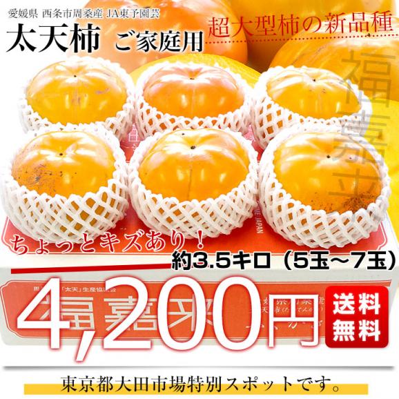 愛媛県周桑産 JA東予園芸 太天柿 ご家庭用 3.5キロ(5玉から7玉) 送料無料  たいてんがき かき 市場スポット03