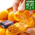佐賀県より産地直送 JAからつ 高糖度特秀みかん オンリーワン（OnlyOne）送料無料 約5キロ (60から80玉) 蜜柑 ミカン お歳暮 御歳暮