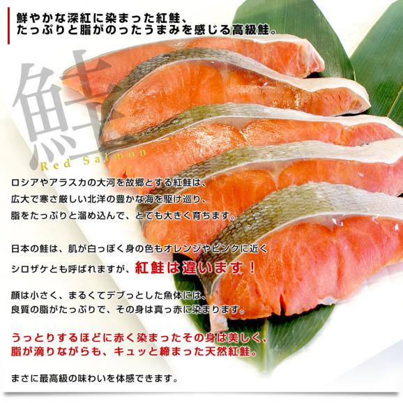 送料無料　北海道から直送　北海道加工　紅鮭　切り身セット　たっぷり20枚入　（紅鮭70g×20枚入り）04
