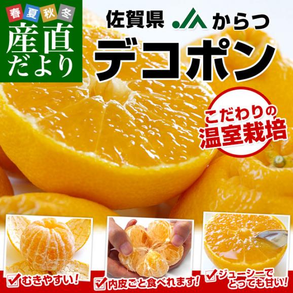 佐賀県産JAからつ デコポン 3.5キロ化粧箱（8玉から12玉入り