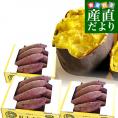 茨城県より産地直送 JAなめがた さつまいも「紅まさり(べにまさり)」 SからSSサイズ 約1キロ×3箱セット 送料無料 さつま芋 サツマイモ 薩摩芋