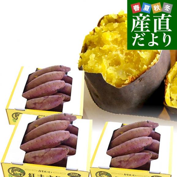 茨城県より産地直送 JAなめがた さつまいも「紅まさり(べにまさり)」 SからSSサイズ 約1キロ×3箱セット 送料無料 さつま芋 サツマイモ 薩摩芋01