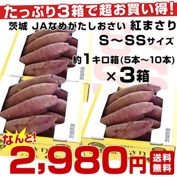 茨城県より産地直送 JAなめがた さつまいも「紅まさり(べにまさり)」 SからSSサイズ 約1キロ×3箱セット 送料無料 さつま芋 サツマイモ 薩摩芋03