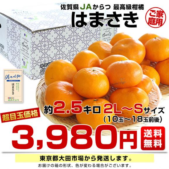 佐賀県産 JAからつ はまさき ご家庭用 ちょっと訳あり 2LからSサイズ 約2.5キロ (10玉から18玉前後) 送料無料 唐津 浜崎03