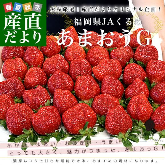 福岡県より産地直送 JAくるめ あまおうG 1キロ以上 約1080g（270g×4入り）計24粒から48粒 送料無料 苺 いちご あまおう イチゴ ストロベリー from九州02